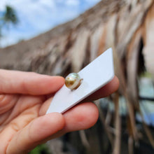 Load image into Gallery viewer, Civa Fiji Loose Saltwater Pearl - FJD$