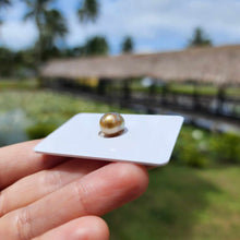 Load image into Gallery viewer, Civa Fiji Loose Saltwater Pearl - FJD$