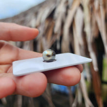 Load image into Gallery viewer, Civa Fiji Loose Saltwater Pearl - FJD$