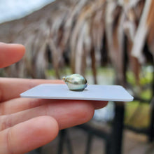 Load image into Gallery viewer, Civa Fiji Loose Saltwater Pearl - FJD$