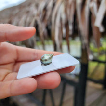 Load image into Gallery viewer, Civa Fiji Loose Saltwater Pearl - FJD$