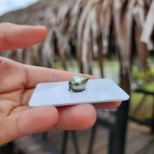 Load image into Gallery viewer, Civa Fiji Loose Saltwater Pearl - FJD$