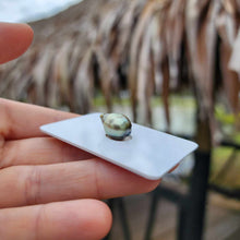 Load image into Gallery viewer, Civa Fiji Loose Saltwater Pearl - FJD$