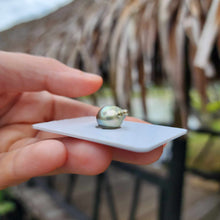 Load image into Gallery viewer, Civa Fiji Loose Saltwater Pearl - FJD$
