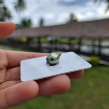 Load image into Gallery viewer, Civa Fiji Loose Saltwater Pearl - FJD$