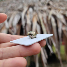 Load image into Gallery viewer, Civa Fiji Loose Saltwater Pearl - FJD$