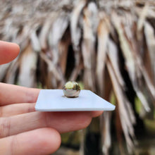 Load image into Gallery viewer, Civa Fiji Loose Saltwater Pearl - FJD$