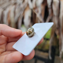 Load image into Gallery viewer, Civa Fiji Loose Saltwater Pearl - FJD$