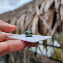 Load image into Gallery viewer, Civa Fiji Loose Saltwater Pearl - FJD$