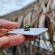 Load image into Gallery viewer, Civa Fiji Loose Saltwater Pearl - FJD$