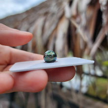 Load image into Gallery viewer, Civa Fiji Loose Saltwater Pearl - FJD$