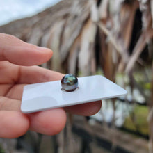 Load image into Gallery viewer, Civa Fiji Loose Saltwater Pearl - FJD$