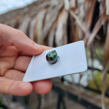 Load image into Gallery viewer, Civa Fiji Loose Saltwater Pearl - FJD$