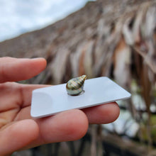 Load image into Gallery viewer, Civa Fiji Loose Saltwater Pearl - FJD$