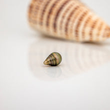 Load image into Gallery viewer, Civa Fiji Loose Saltwater Pearl - FJD$