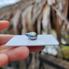 Load image into Gallery viewer, Civa Fiji Loose Saltwater Pearl - FJD$