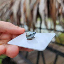 Load image into Gallery viewer, Civa Fiji Loose Saltwater Pearl - FJD$