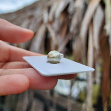 Load image into Gallery viewer, Civa Fiji Loose Saltwater Pearl - FJD$