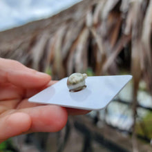 Load image into Gallery viewer, Civa Fiji Loose Saltwater Pearl - FJD$