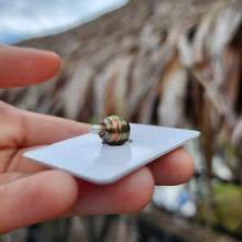 Load image into Gallery viewer, Civa Fiji Loose Saltwater Pearl - FJD$