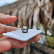 Load image into Gallery viewer, Civa Fiji Loose Saltwater Pearl - FJD$