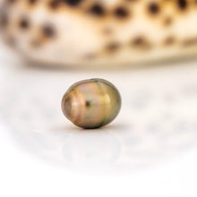 Load image into Gallery viewer, Civa Fiji Loose Saltwater Pearl - FJD$
