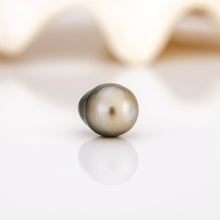 Load image into Gallery viewer, Civa Fiji Loose Saltwater Pearl - FJD$