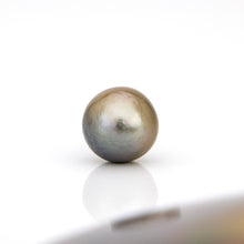 Load image into Gallery viewer, Civa Fiji Loose Saltwater Pearl - FJD$