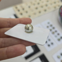 Load image into Gallery viewer, Civa Fiji Loose Saltwater Pearl - FJD$