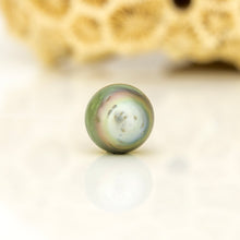 Load image into Gallery viewer, Civa Fiji Loose Saltwater Pearl - FJD$