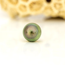 Load image into Gallery viewer, Civa Fiji Loose Saltwater Pearl - FJD$