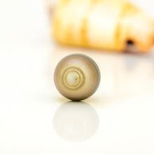 Load image into Gallery viewer, Civa Fiji Loose Saltwater Pearl - FJD$