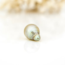 Load image into Gallery viewer, Civa Fiji Loose Saltwater Pearl - FJD$