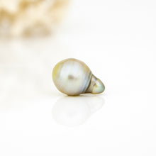 Load image into Gallery viewer, Civa Fiji Loose Saltwater Pearl - FJD$