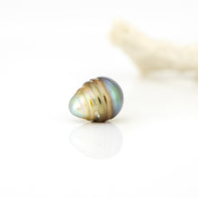 Load image into Gallery viewer, Civa Fiji Loose Saltwater Pearl - FJD$