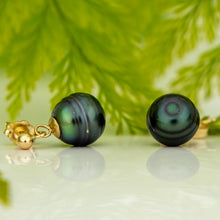 Load image into Gallery viewer, CONTACT US TO RECREATE THIS SOLD OUT STYLE Civa Fiji Saltwater Pearl Stud Earrings - 14k Gold Fill FJD$