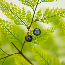 Load image into Gallery viewer, CONTACT US TO RECREATE THIS SOLD OUT STYLE Civa Fiji Saltwater Pearl Stud Earrings - 14k Gold Fill FJD$