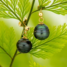 Load image into Gallery viewer, CONTACT US TO RECREATE THIS SOLD OUT STYLE Civa Fiji Saltwater Pearl Stud Earrings - 14k Gold Fill FJD$