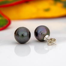 Load image into Gallery viewer, READY TO SHIP Civa Fiji Saltwater Pearl Stud Earrings - 925 Sterling Silver FJD$
