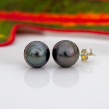 Load image into Gallery viewer, READY TO SHIP Civa Fiji Saltwater Pearl Stud Earrings - 925 Sterling Silver FJD$