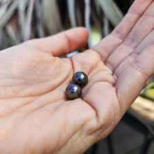 Load image into Gallery viewer, READY TO SHIP Civa Fiji Saltwater Pearl Stud Earrings - 925 Sterling Silver FJD$