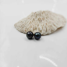 Load image into Gallery viewer, READY TO SHIP Civa Fiji Saltwater Pearl Stud Earrings - 925 Sterling Silver FJD$