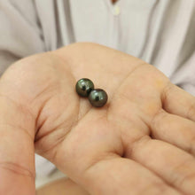 Load image into Gallery viewer, READY TO SHIP Civa Fiji Graded Pearl Earrings - 14k Solid Gold FJD$