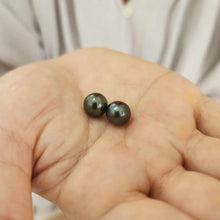Load image into Gallery viewer, READY TO SHIP Civa Fiji Graded Pearl Earrings - 14k Solid Gold FJD$