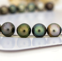 Load image into Gallery viewer, Civa Fiji Undrilled Pearls - FJD$