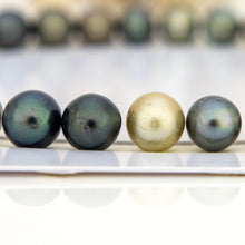 Load image into Gallery viewer, Civa Fiji Undrilled Pearls - FJD$