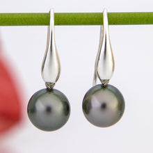 Load image into Gallery viewer, READY TO SHIP Civa Fiji Saltwater Graded Pearl Earrings #BO4000 - 925 Sterling Silver FJD$