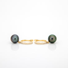 Load image into Gallery viewer, READY TO SHIP Civa Fiji Graded Pearl Earrings - 14k Solid Gold FJD$