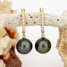 Load image into Gallery viewer, READY TO SHIP Civa Fiji Graded Pearl Earrings - 14k Solid Gold FJD$