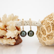 Load image into Gallery viewer, READY TO SHIP Civa Fiji Graded Pearl Earrings - 14k Solid Gold FJD$